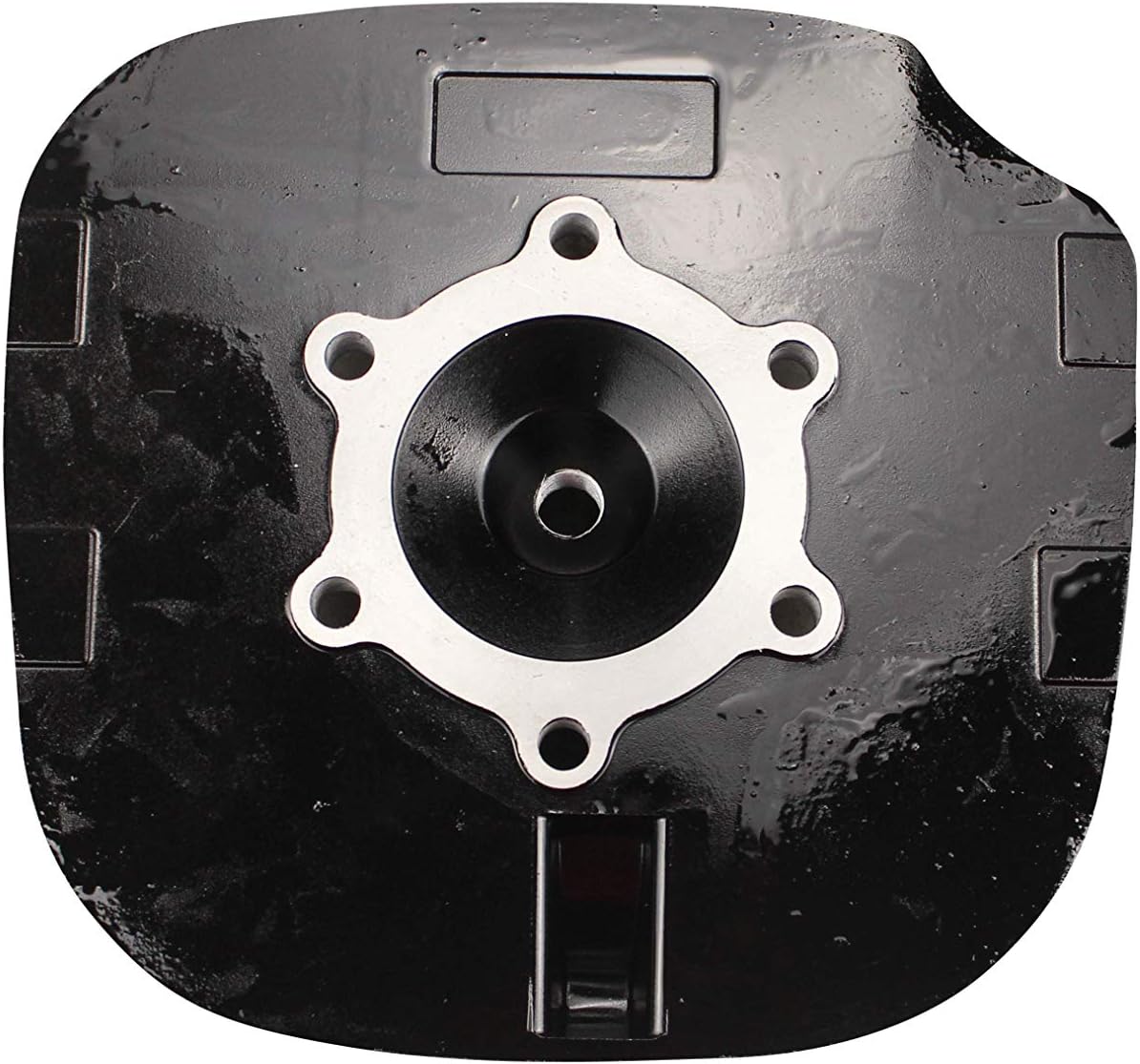 Cylinder Head Fits Yamaha Blaster 200 YFS200 (1988-2006)