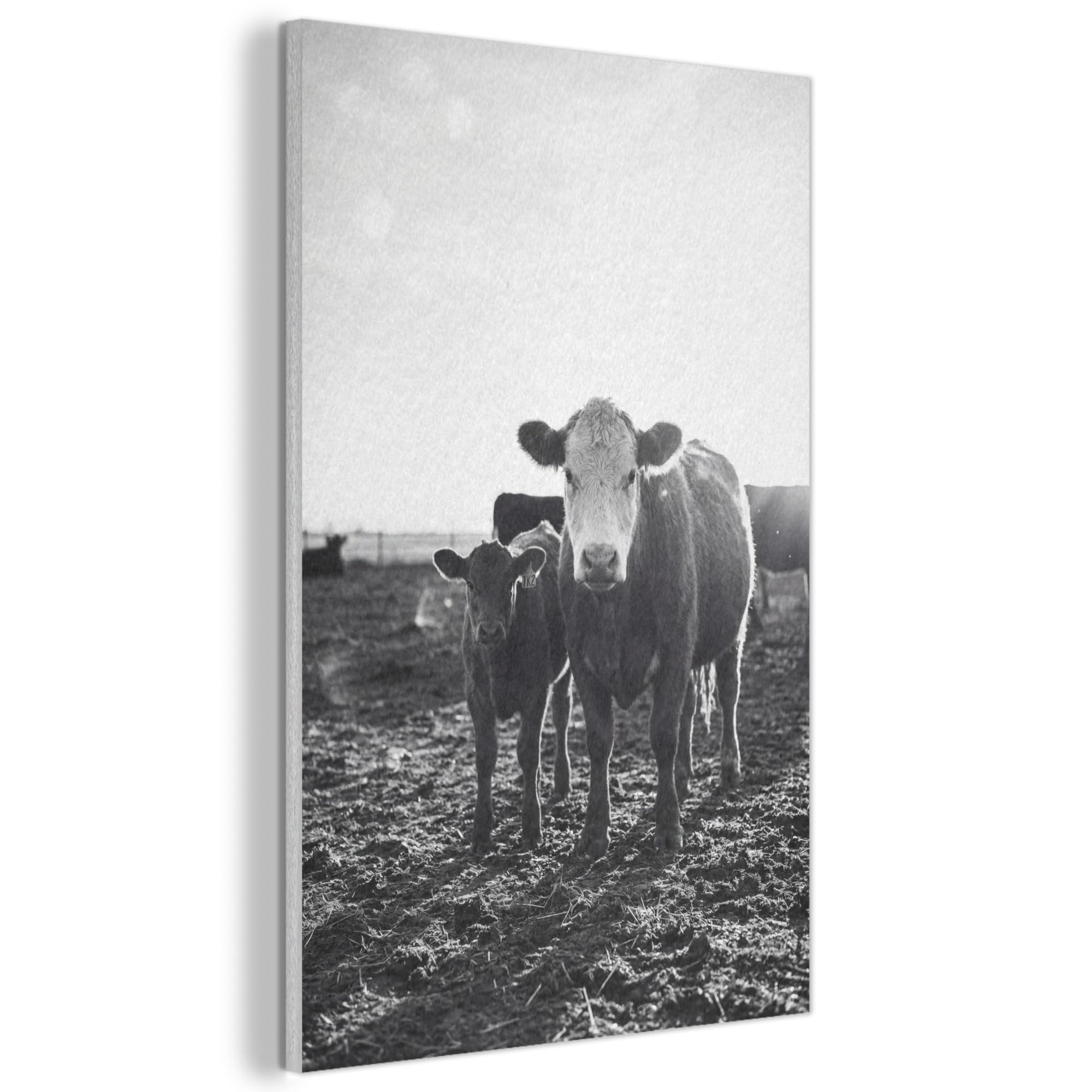 MuchoWow© Felt Panel 40x60 cm Room Style Piece Wallfillers Visual Display Decoration Wall Art Cows - Black - White