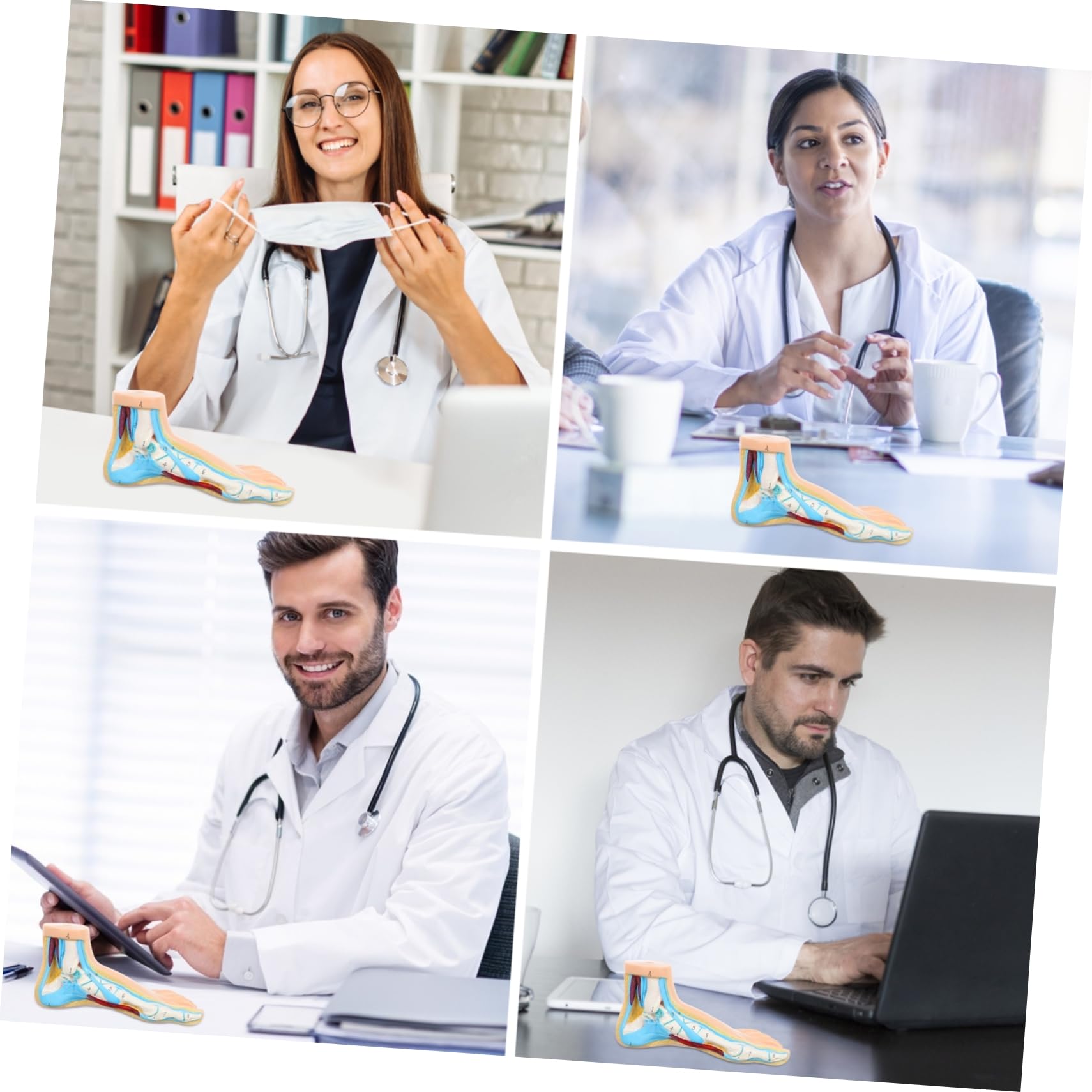Cabilock Modelo Anatómico Médico Articulaciones Detalladas Para Enseñanza y Exhibición Clínica Diseño Realista Para Estudiantes y Profesionales De Medicina y Fisiología