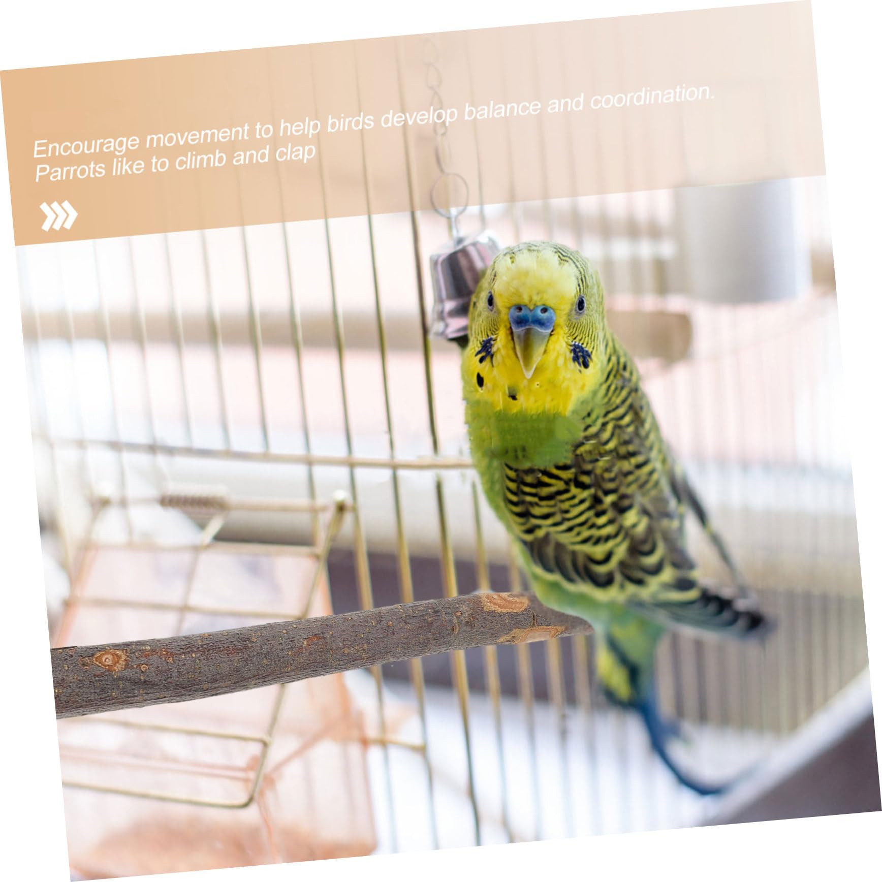 HEMOTON 1Set Wooden Parrot Perch Stand with Feeding Bowl U Shaped Design for Birds Easy Installation Durable Material for Parrots Parakeets and Cockatiels