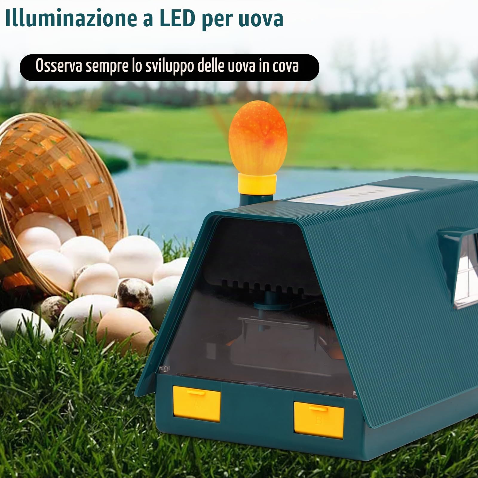 Incubatrice Automatica Per Uova,Incubatrice Con Rotazione Automatica Delle Uova e Controllo Della Temperatura e Dell'Umidità,Incubatrice Per Pollame Con Display LED Per Polli, Anatre e Oche (10 Uova)