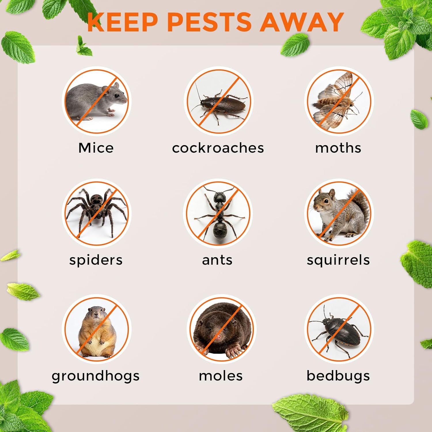 Rodent Repellent 12 Pack, Natural Peppermint Mouse Repellent Balls, Safe for Family & Pets, Indoor & Outdoor Pest Control for Mice Rats Roaches Spiders Ants, for Home Garage Basement Attic Kitchen