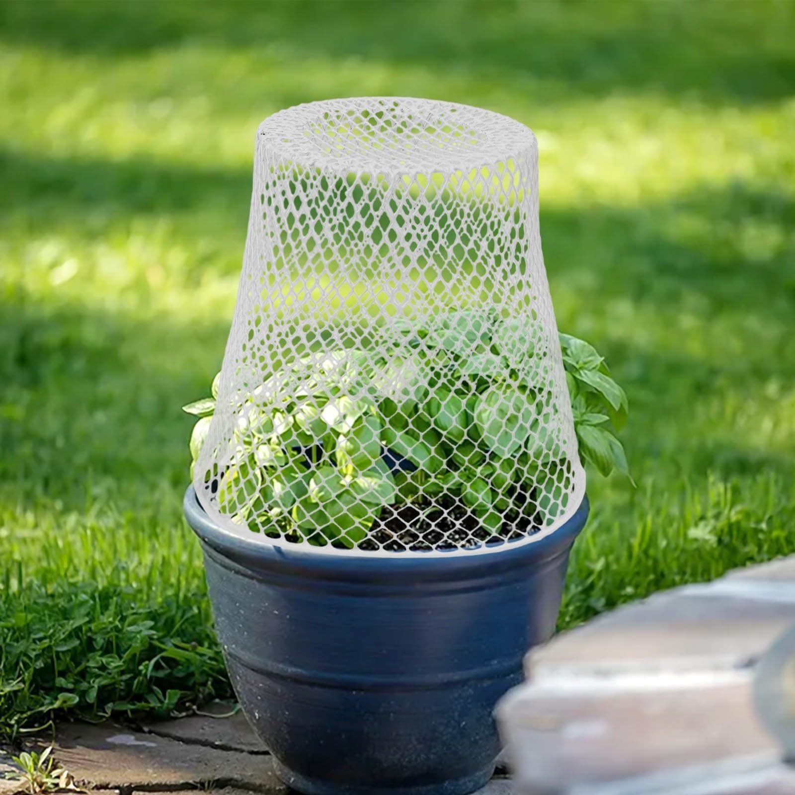 Paquete de 10 jaulas de protección de plantas, arte de hierro para verduras, árboles frutales, pájaros, barrera de plagas de jardín, valla de malla de 23 x 23 cm (blanco)