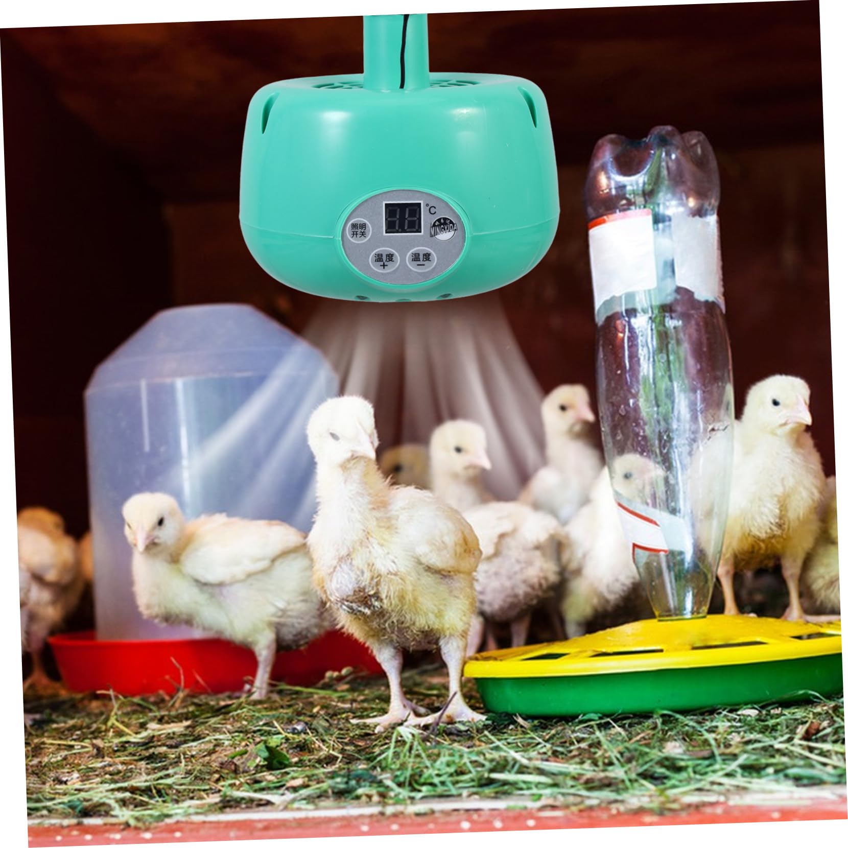VICASKY Lampada Riscaldante per Animali Temperatura Intelligente, Verde | Emettitore in Plastica e Metallo, Luce Calda Led, per Roditori e Rettili