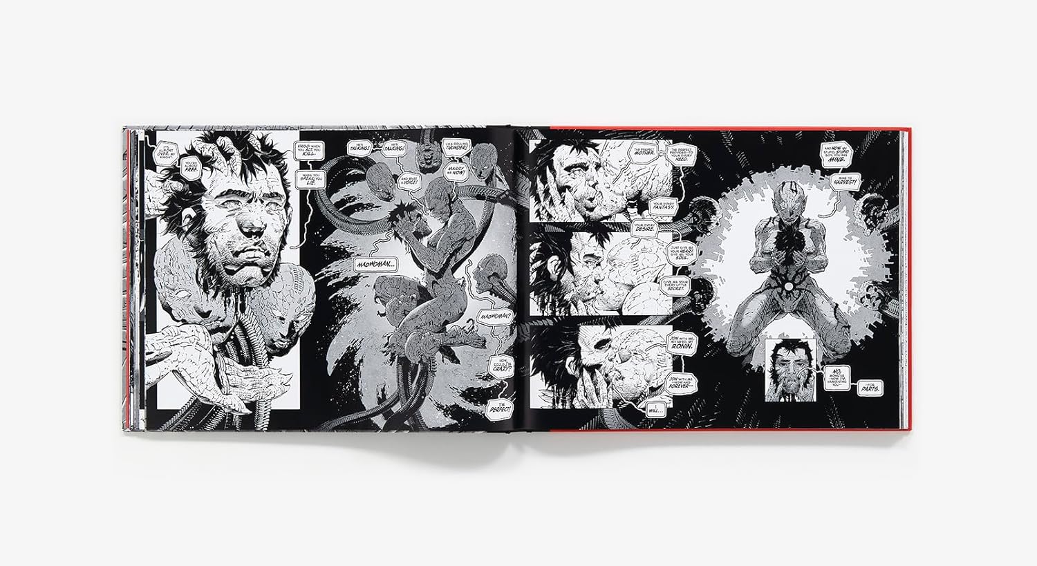 Frank Miller's Ronin Rising Collector's Edition