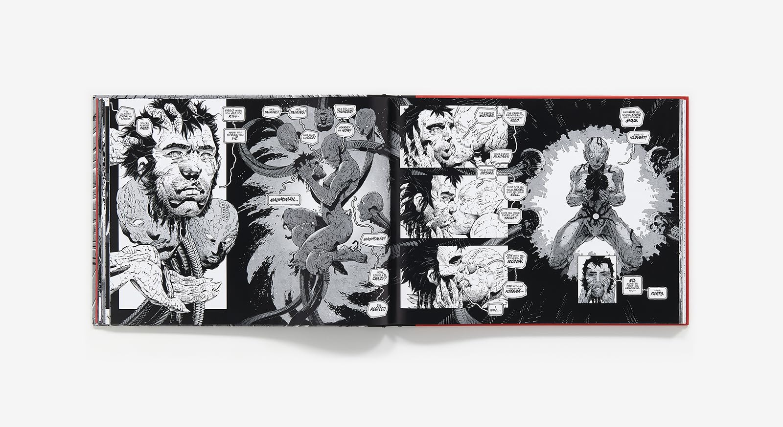 Frank Miller's Ronin Rising Collector's Edition