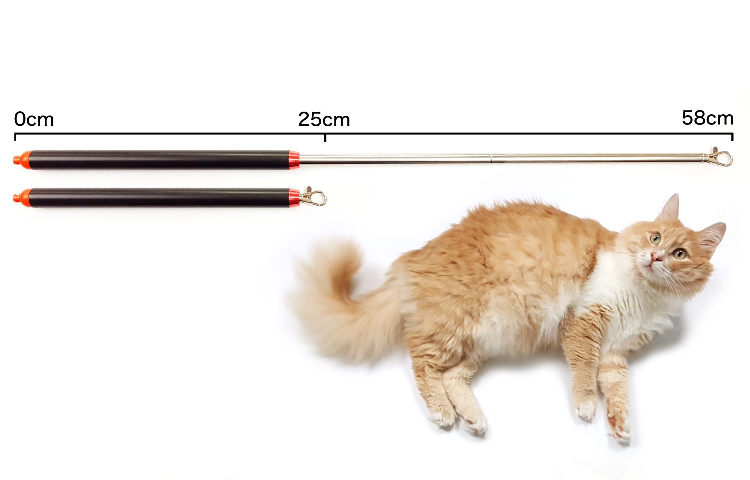 Stabile Katzenangel | Arnold | mit Karabinerhaken | Feder-Katzenspielzeug inkl. 2X Federn & 2X Bänder