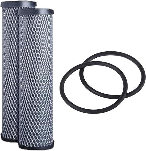 F4Y Cartuchos de filtro de agua de bloque de carbono compatibles con modelos FXWTC, GXWH04F, GXWH20S Elimina el mal sabor y olor Cartucho de