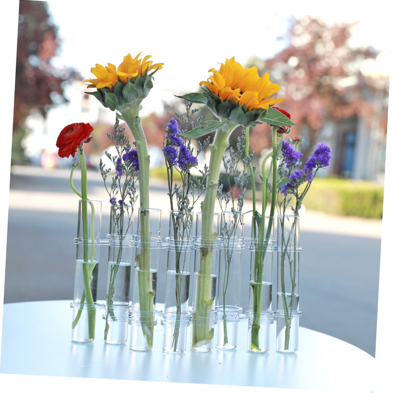 Set de Vases Verre Transparent pour Propagation Hydroponique Grand Format avec Brosse Pot de Fleurs Design pour Décoration Intérieure et Bureau