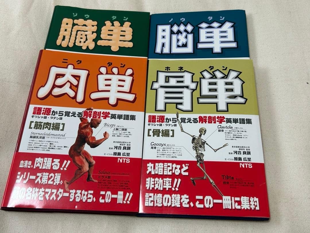 語源から覚える解剖学英単語集 肉単/脳単/骨単/臓単 セット