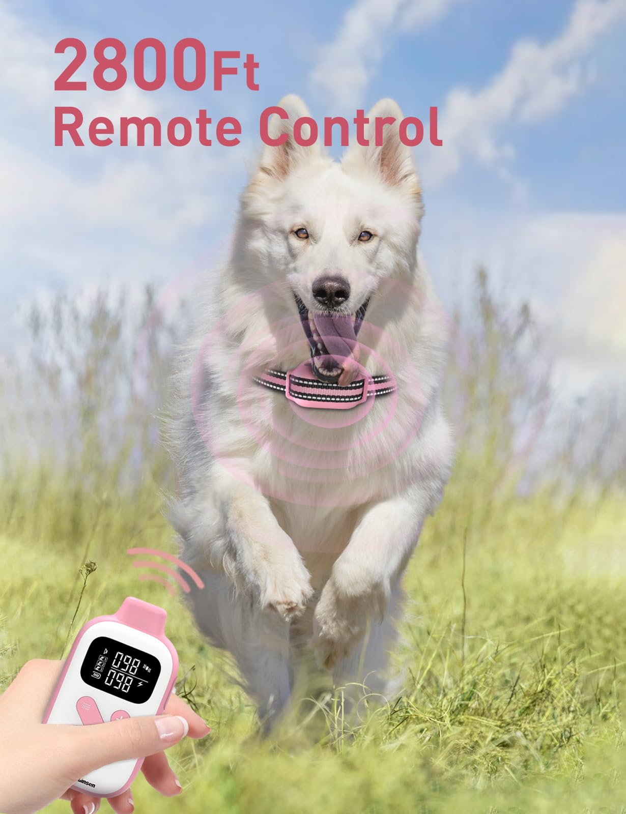 Amazon.com: DOGLinsen No Shock Dog Training Collar, Beep and Vibrating Dog  Collar with Remote 2800Ft, Vibration Collar for Small Medium Large Dogs - No  Prongs : Pet Supplies