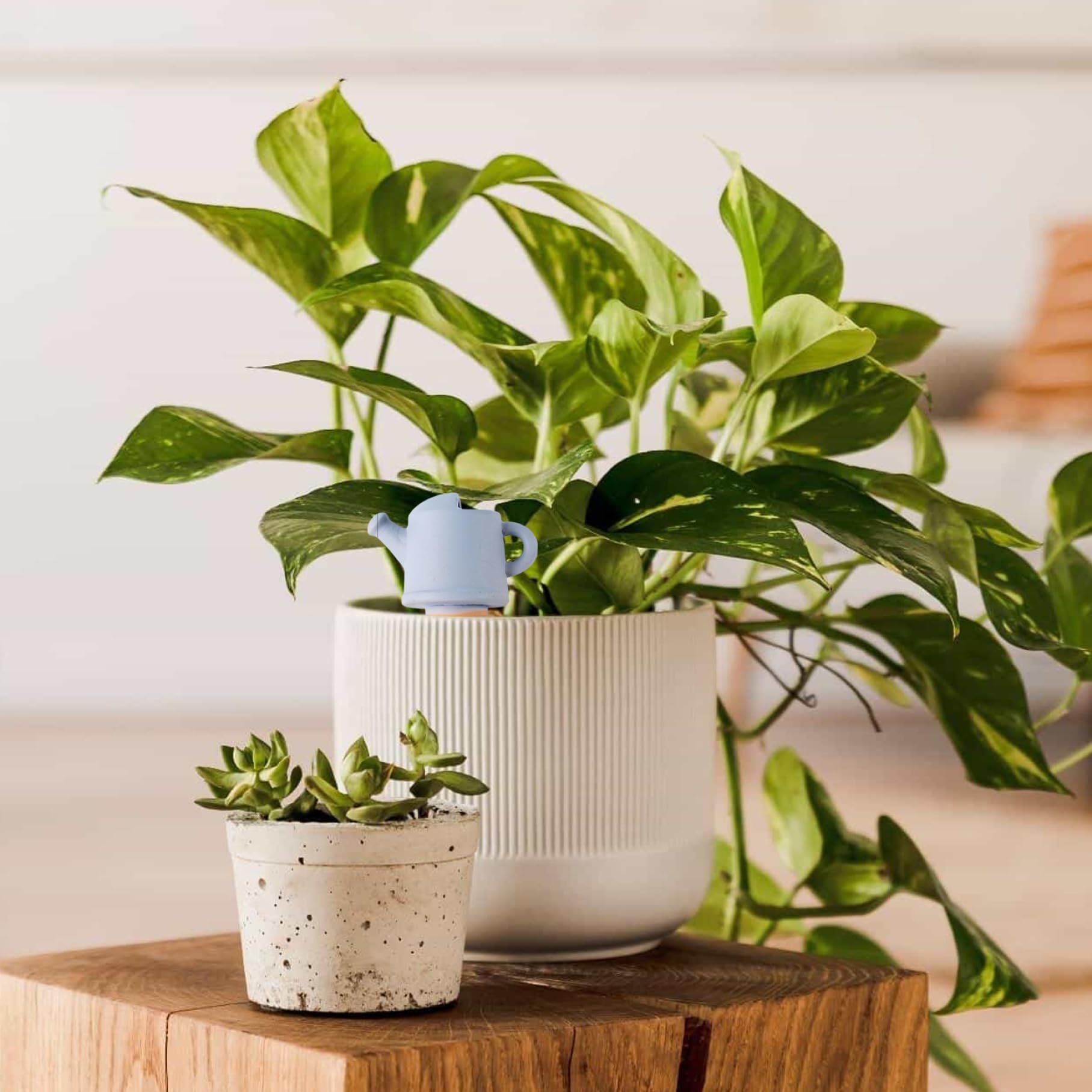 4 Piezas de Terracota con riego automático para Plantas, Picos de riego automáticos para Plantas, Dispositivos de con Forma de Lata, Picos Reutilizables para el hogar, jardín, de in