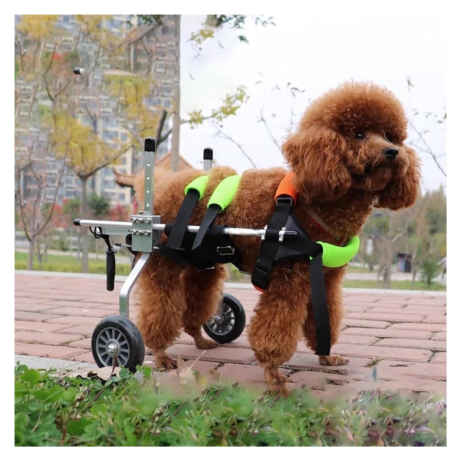 Fauteuil roulant pour chien handicapé de taille moyenne avec harnais réglable