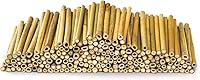 Frcctre 200 Pack 5 Inch Natural Bamboo Craft Sticks - Smooth Stakes & Tubes for DIY Crafts, Bee Houses, Fairy Gardens