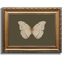 KBKBART Vintage Gold Framed Wall Art, Classical Butterfly Oil Painting, Dark Moody Insect Canvas Print Artwork Wall Decor Picture for Bedroom, Bathroom, Cottage Room Decor Room Decoration - 12x16 Inch |  30.5x40.64cm