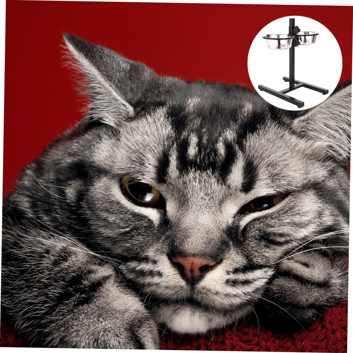 Mikikit Set di Ciotole per Animali Domestici in Acciaio Inox Supporto Rialzato Regolabile in Altezza e Base Antiscivolo, per Cani e Gatti
