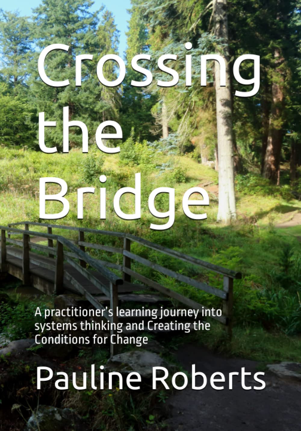 Crossing the Bridge: A practitioner’s learning journey into systems thinking and Creating the Conditions for Change