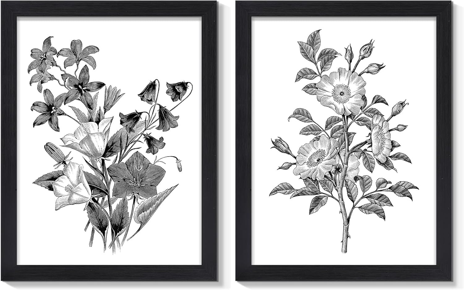 lianyibo Rustykalny plakat ścienny w stylu vintage, boho, motywy botaniczne, czarno-białe, na płótnie, dekoracja do salonu (60 x 80 cm x 2 / ramka wewnętrzna).