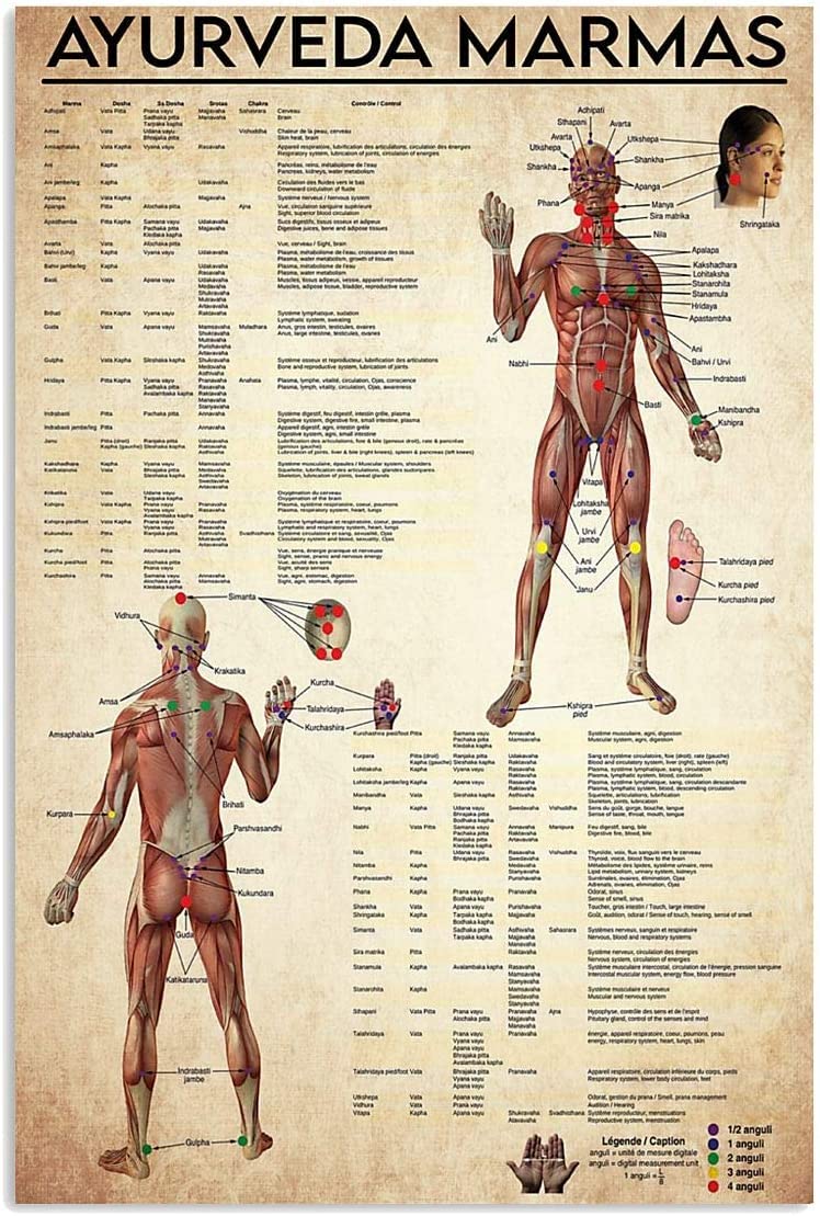 FWJZDSP Ayurveda Marmas Metal Signs Retro Medical Knowledge Posters Learning Infographics Plaques Home Club Office Wall Decor 8x12 Inches
