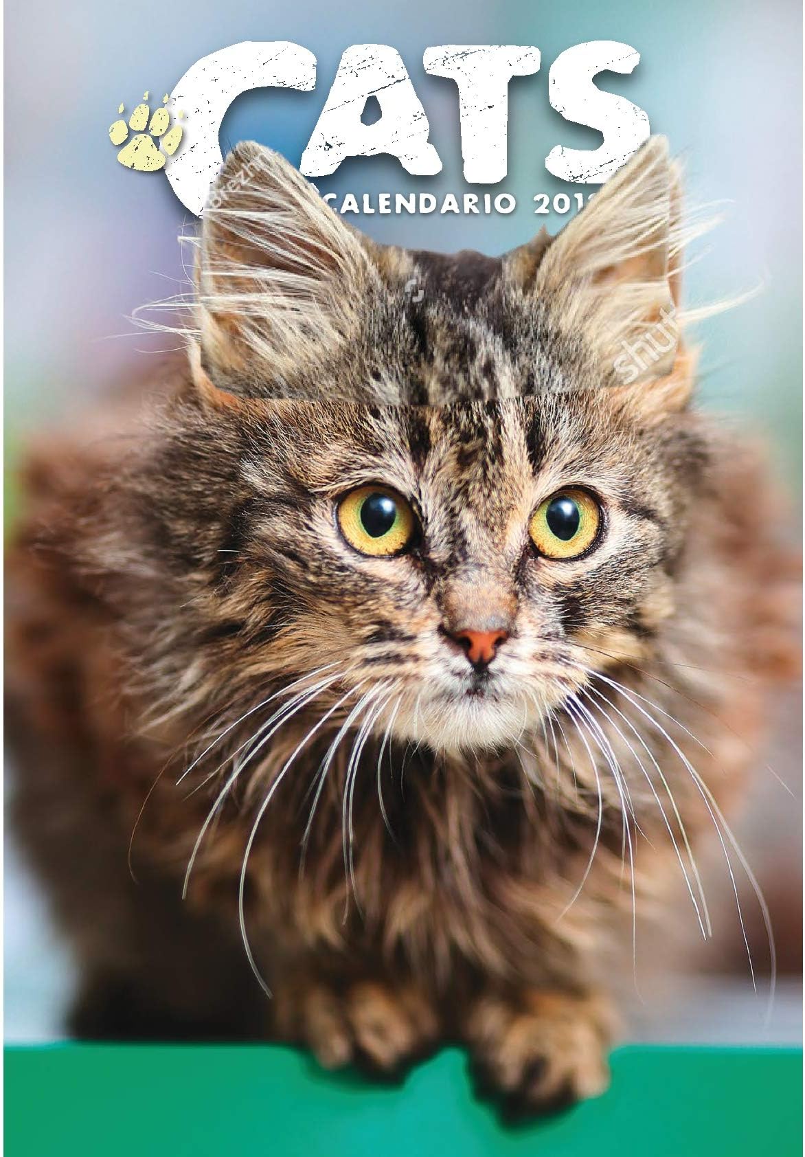 My TimeCAL19-GATT Calendar 2019 Cats
