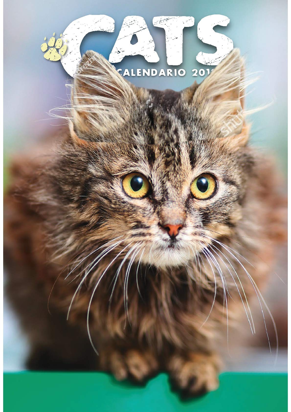 My TimeCAL19-GATT Calendar 2019 Cats