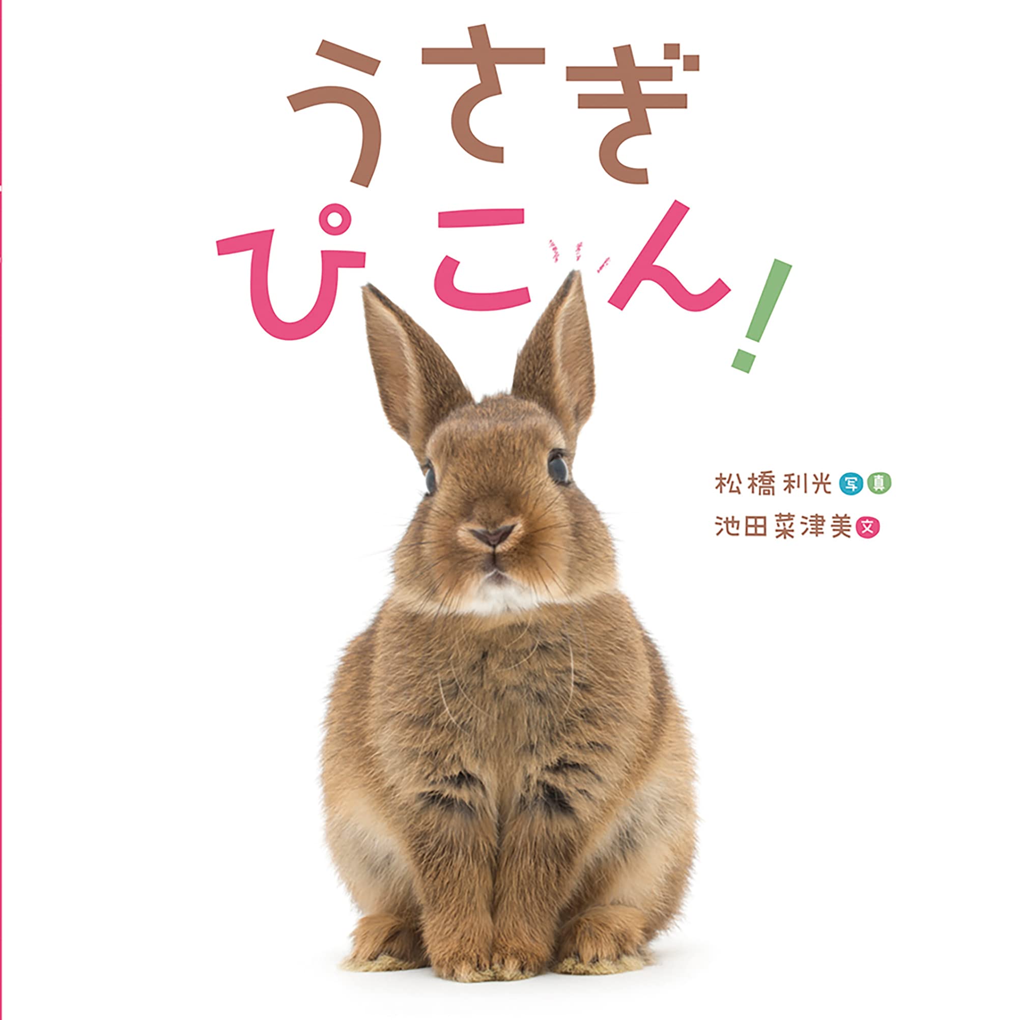 うさぎ♡１ これから本番！ひかりのうさぎ！