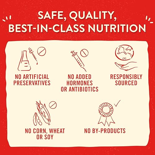 Miniatura 7 de Stella & Chewy's Alimento para perros de raza pequeña con receta de carne de res cruda liofilizada Lil' Bites Itty Bitty, bolsa de 7 onzas (ternera)