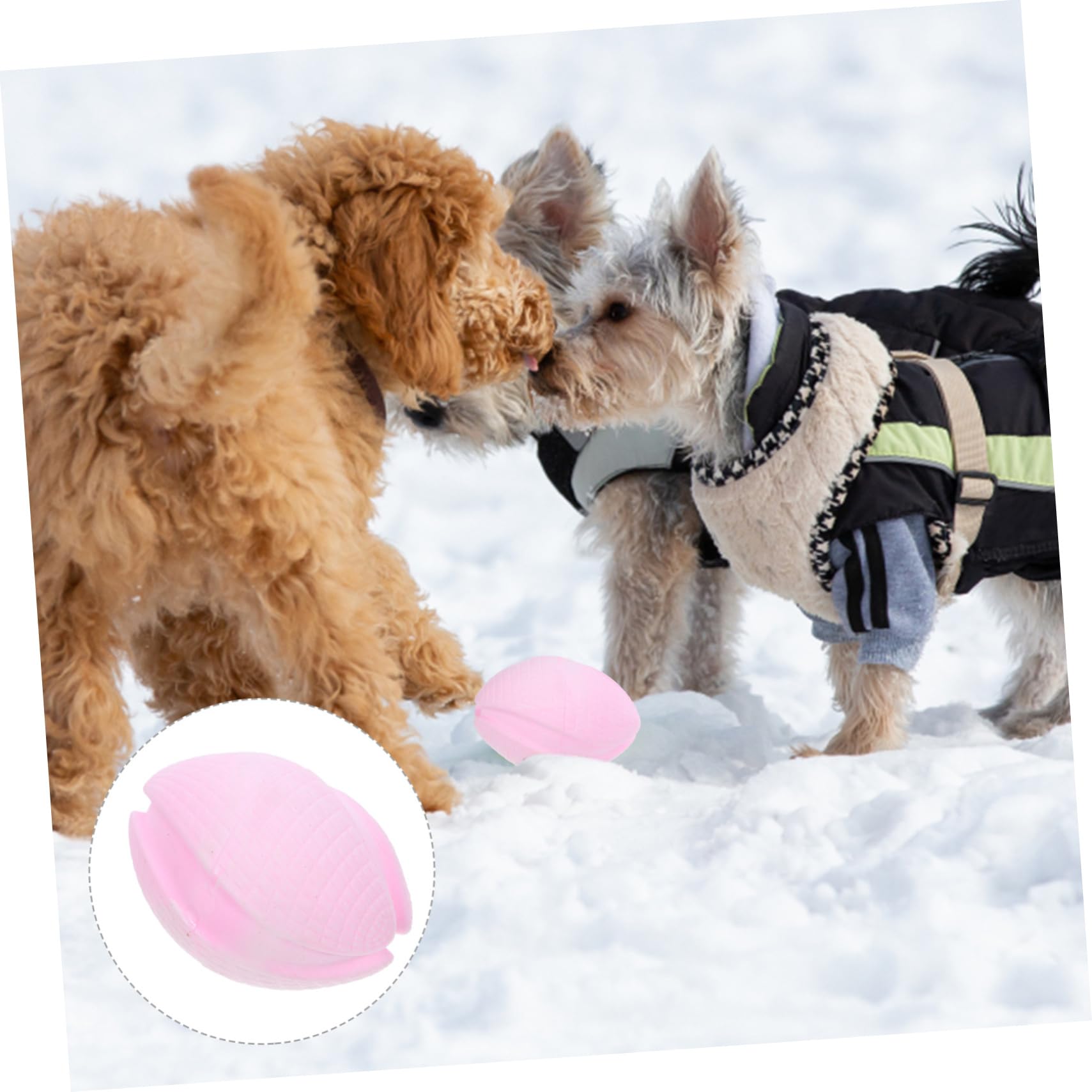Angoily 5pièces Ballon à Mâcher pour Chiens Jouet De Dentition Flottant pour Chiots Petits Moyens Et Chiens pour Jouer Et Mastiquer