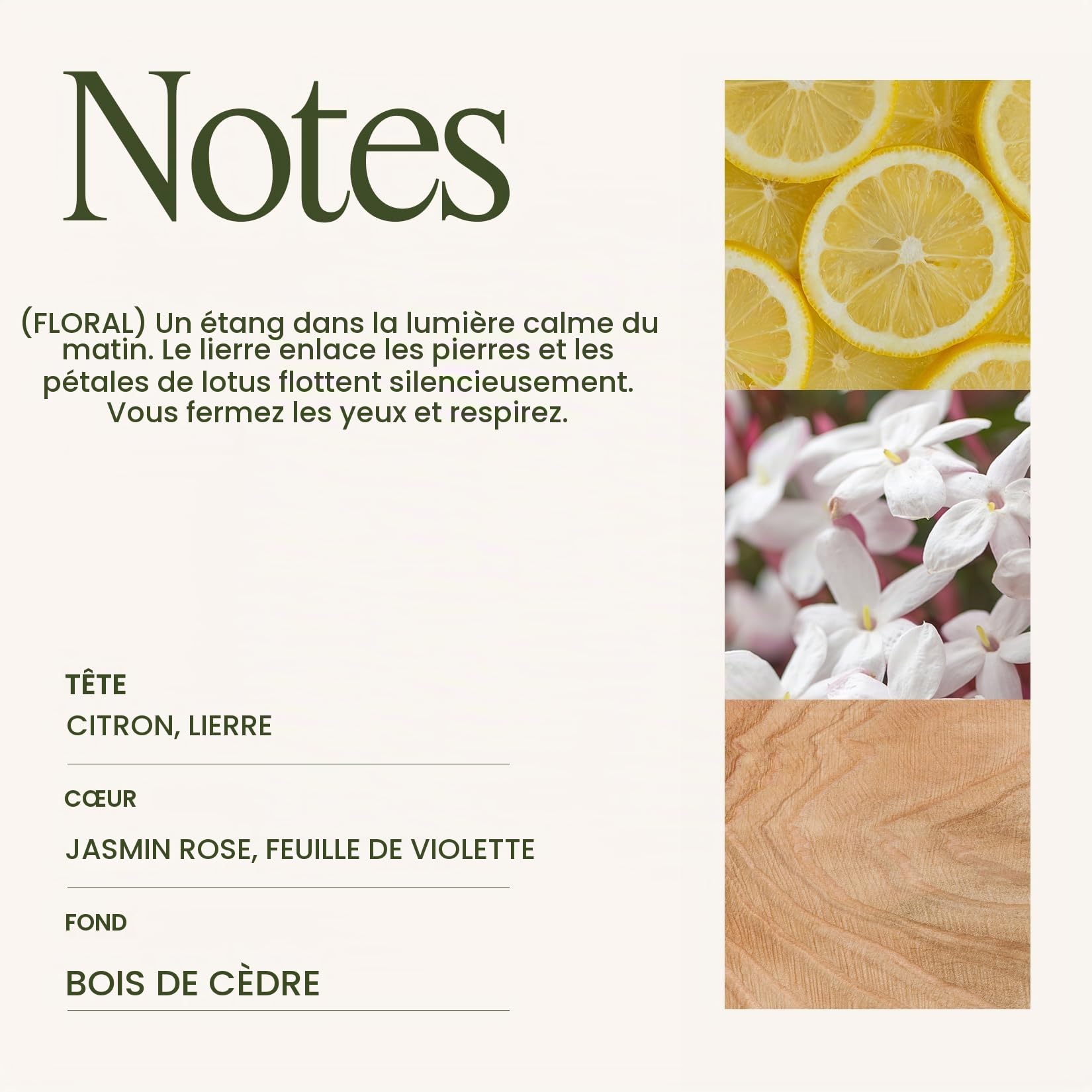 La Jolíe Muse Bougie Parfumées Jasmin,50-65 Heure Durée de Combustion,280g Bougie Coffret Cadeau Maison Décor Bio en Cire Naturellle