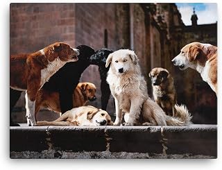 Dog Art Photo Gifts For Dog Lovers, Poster Canvas Prints Various Sizes, Dog Art Wall Decor, Mutt Dog Gifts For Dog Lover, Dog Mom Gift Decor For Home