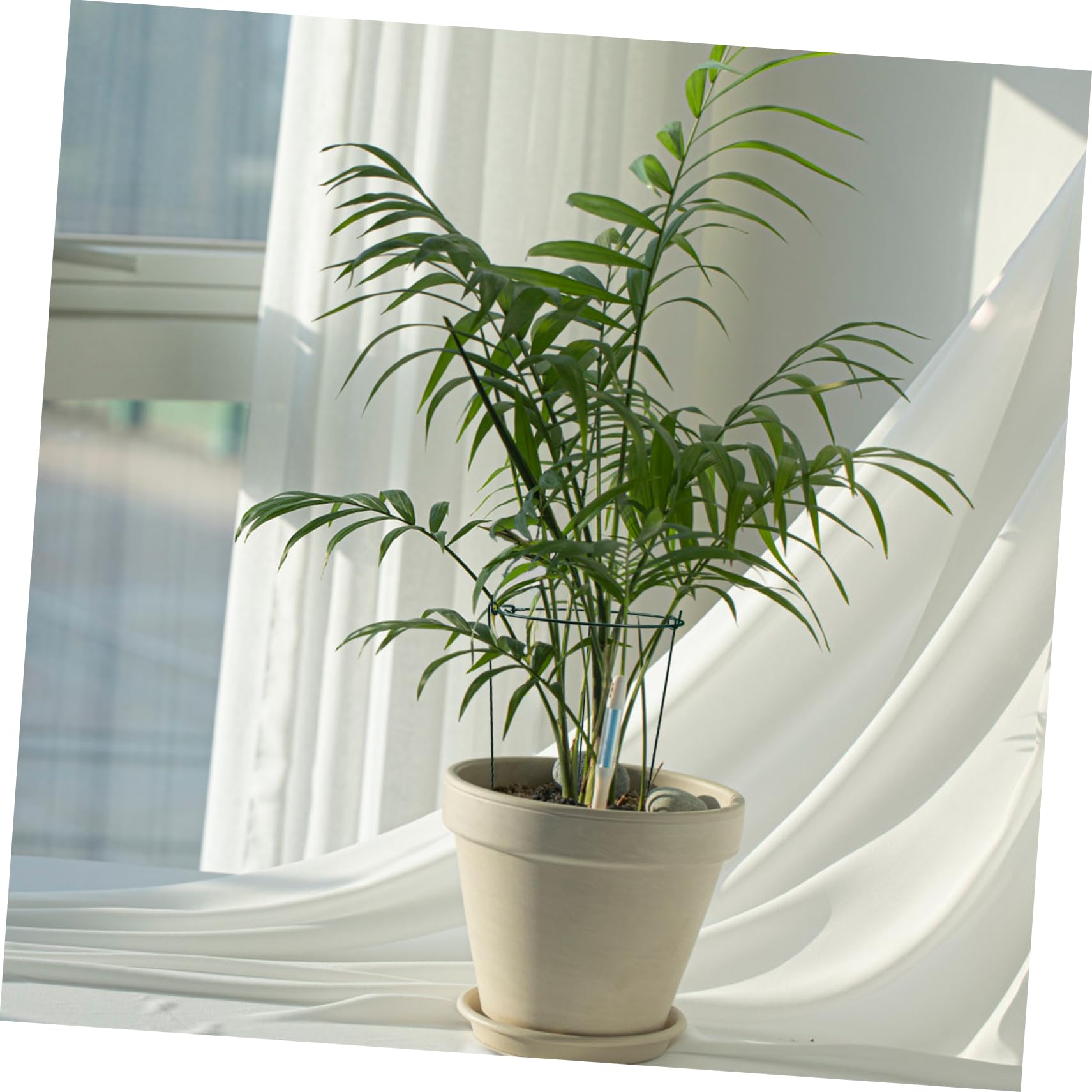 Lot De 3 Tuteurs pour Plantes Grimpantes Verts 25/40 Cm pour Jardin Et Intérieur, Supports Robustes en Fer Revêtu, Structure Compacte Et Détachable Adaptée Au Soutien Floral