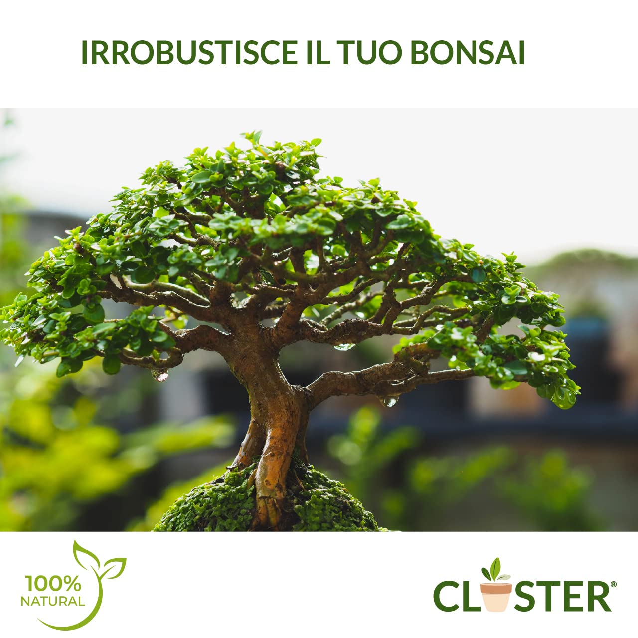 Bonsai Love 200 GR - Fertilizante Granulado de Liberación Lenta para Bonsáis - Fertilizante Natural Orgánico con Nitrógeno, Fósforo y Potasio - Para Bonsáis de Interior y Exterior