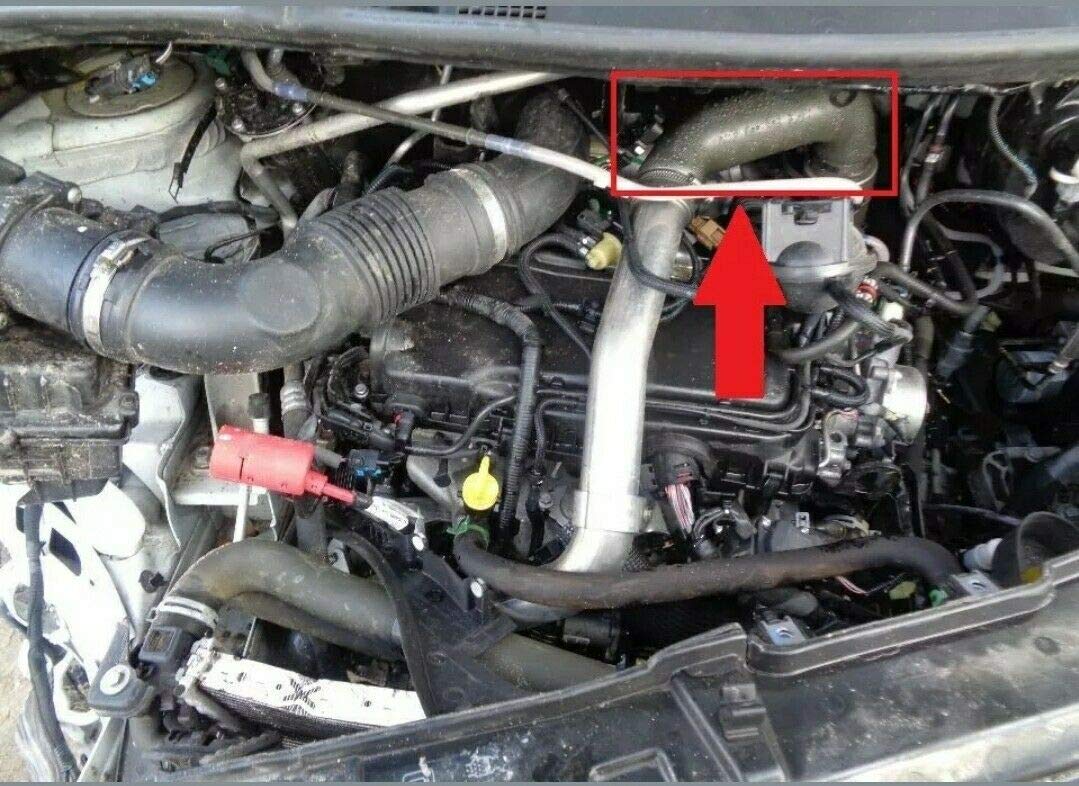 Turboschlauch Ladeluftschlauch Kompatibel mit Opel Movano B Renault Master III 2.3CDTI 163PS 144602862R