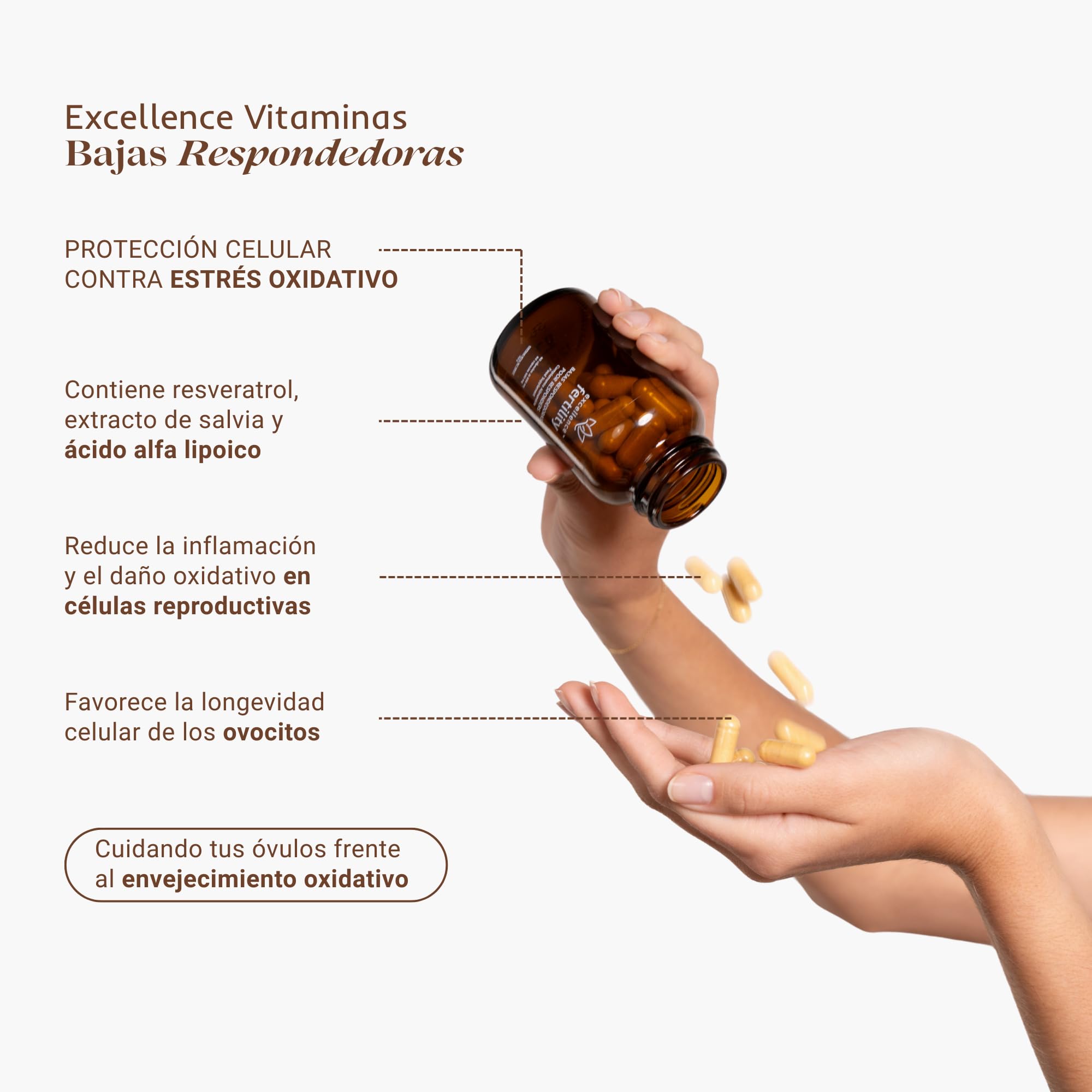 Excellence Bajas Respondedoras – Fertilidad Femenina para Baja Reserva Ovárica – Folato, Resveratrol, Salvia, Ácido Alfa Lipoico – Suplemento Antioxidante – 60 Cápsulas