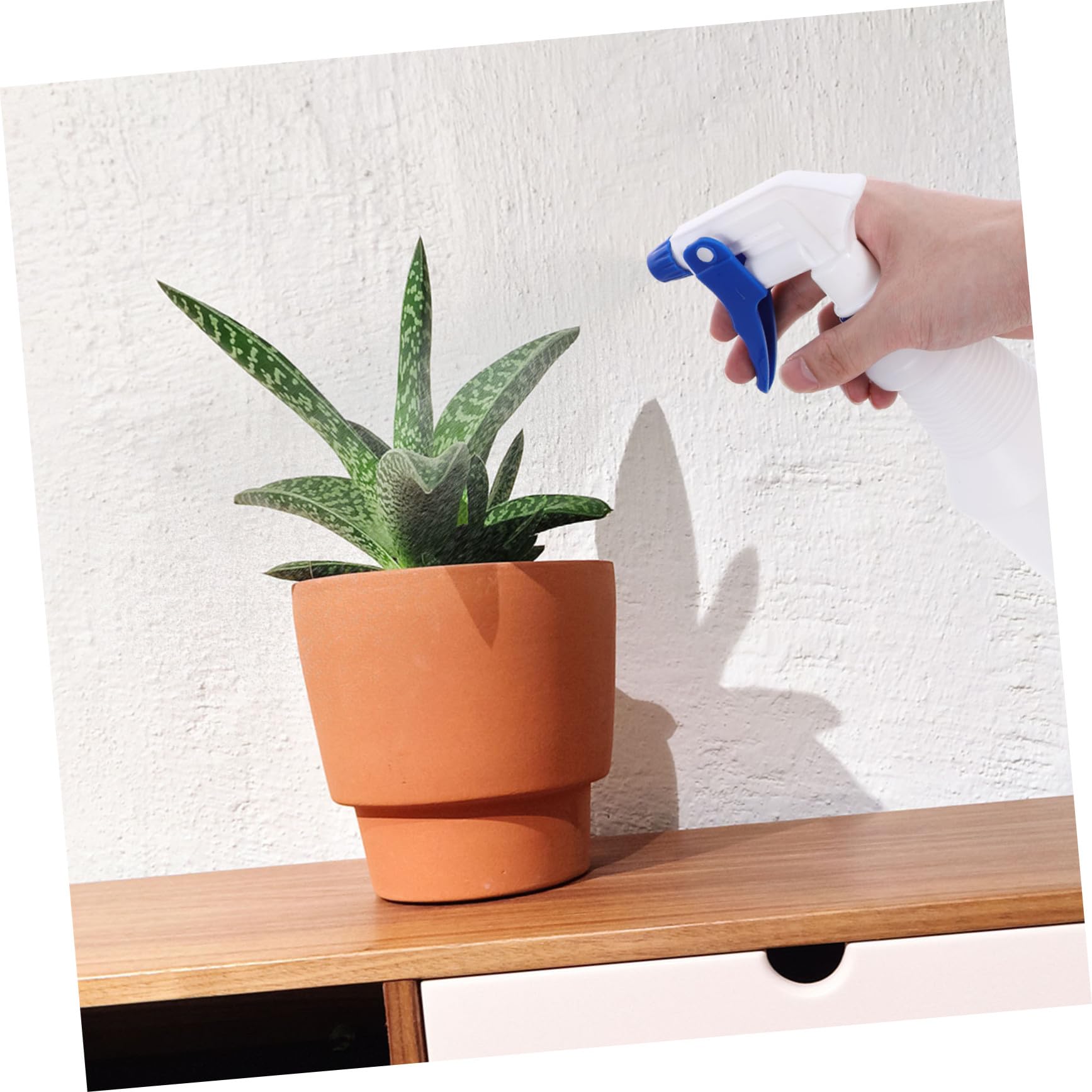GALPADA Botellas Pulverizadoras Pequeñas Diseño Ligero de Plástico Pe Pack de 8 Color Aleatorio de 750ml Prueba de Fugas, Ideales para Riego y Uso en Peluquería