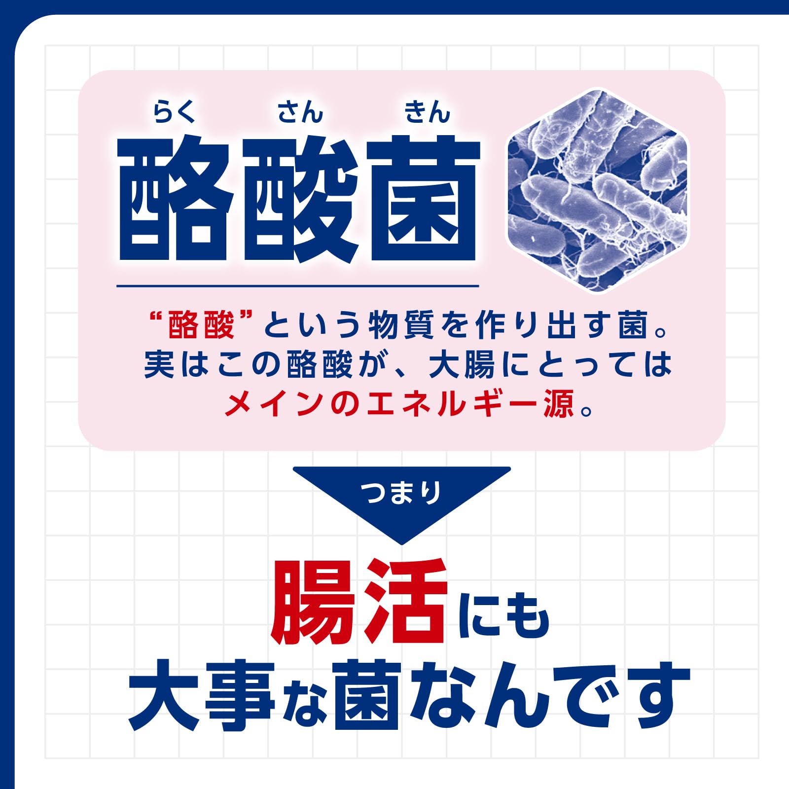 Amazon | 【Amazon.co.jp 限定】ビオスリーHi錠 570錠【指定医薬部外品