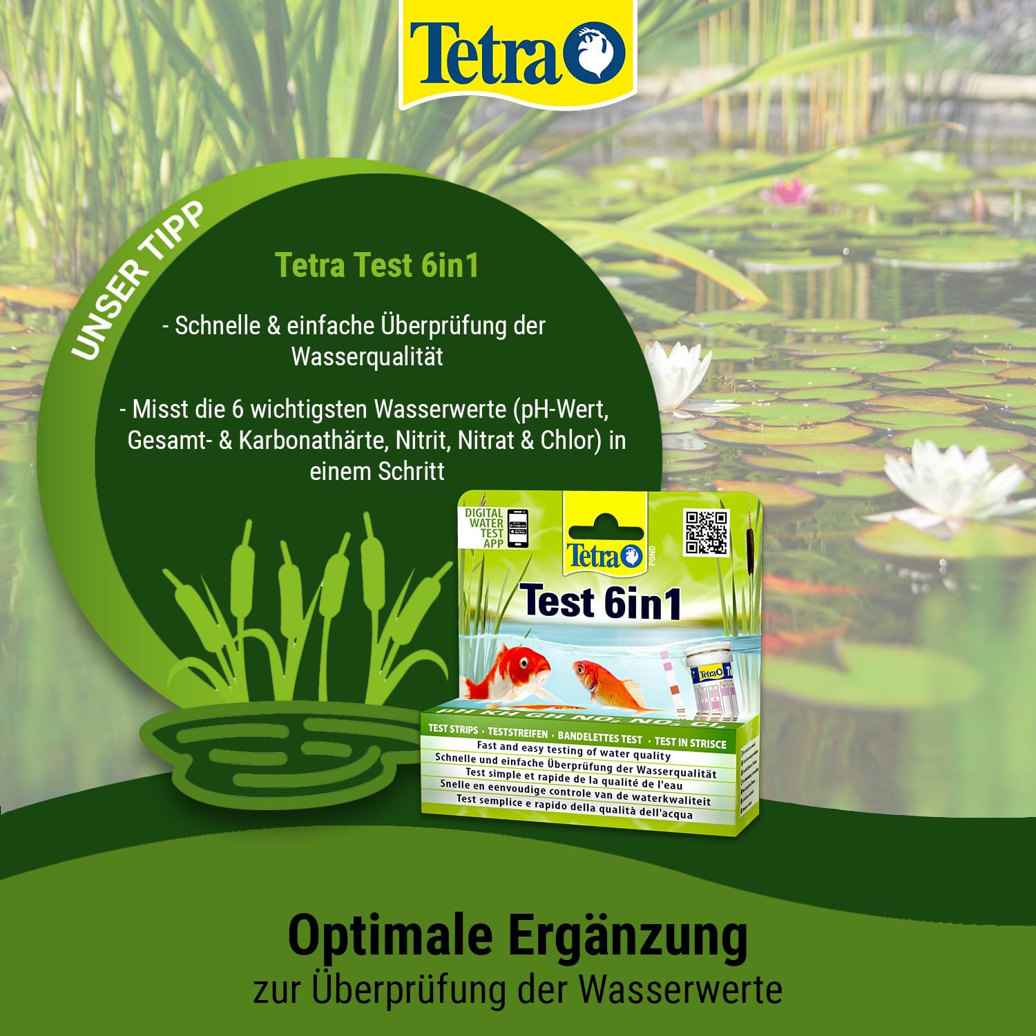 Tetra Pond MediFin - Medikament für Teichfische gegen die häufigsten Krankheiten, auch zur Vorbeugung und Desinfektion, 3 L
