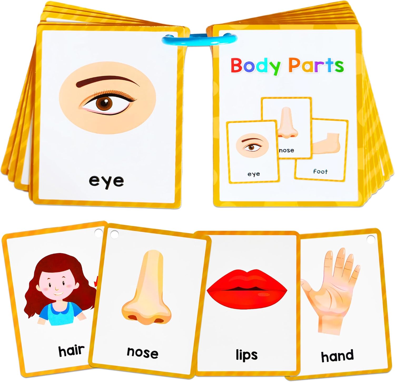 Learning Flashcards Body Parts, 28 Different Body Parts Educational Cards, Social Learning Card for Kids