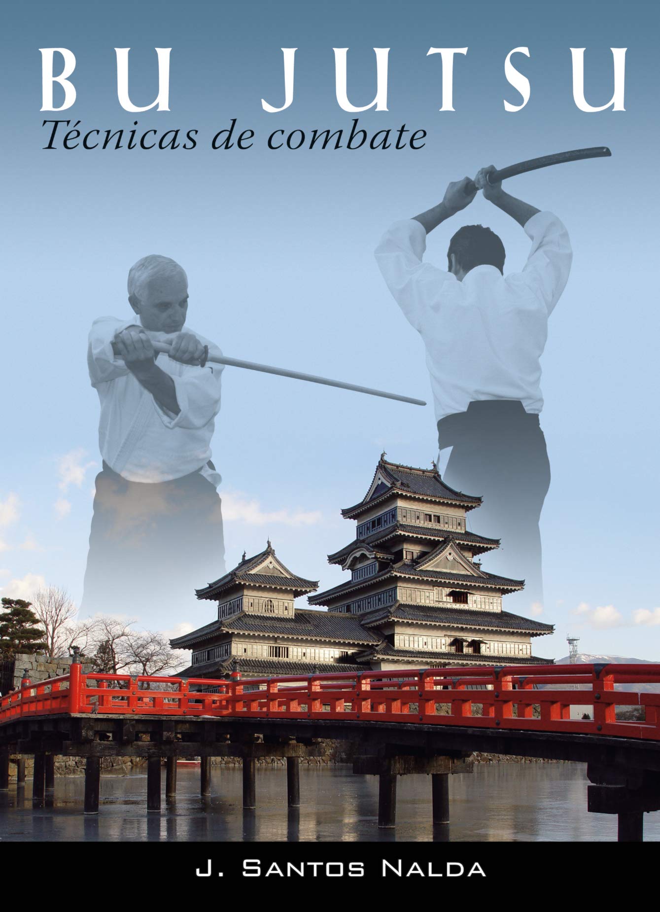 Bu Jutsu (técnicas de combate)