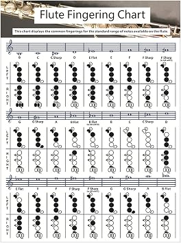SYCOOVEN Flute Chord Chart, Portable Durable Fingering Practice White Chord Chart for Flute Fingering Practice Chord Chart Beginner Student for Teaching or Group Study