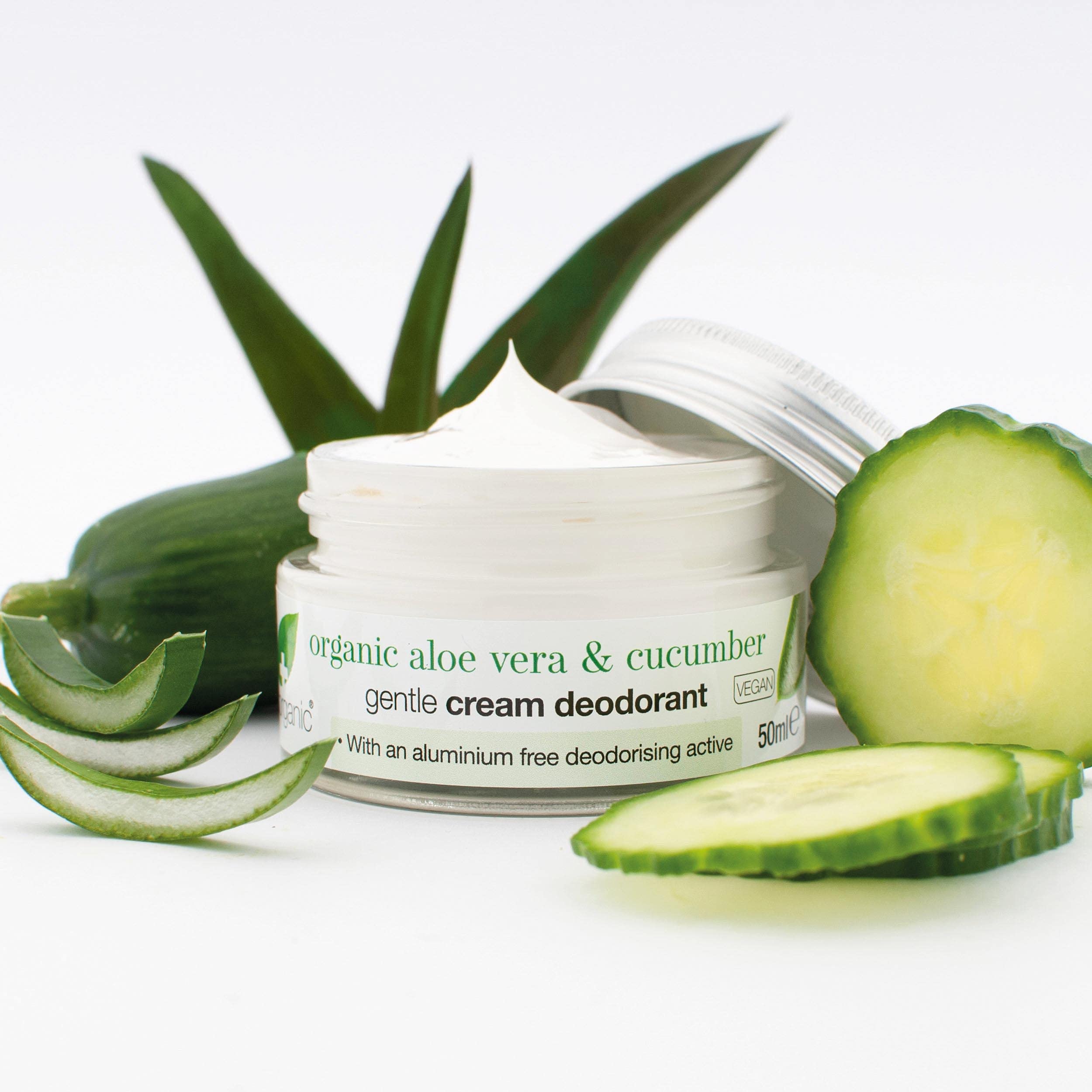 aloe vera t12 Aloe Vera  Liberty Landscape Supply