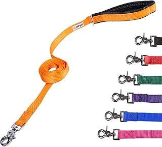 GoGo Pet Products 3/4-Inch Wide Comfy Nylon Dog Leash, 6-Feet Long, Orange