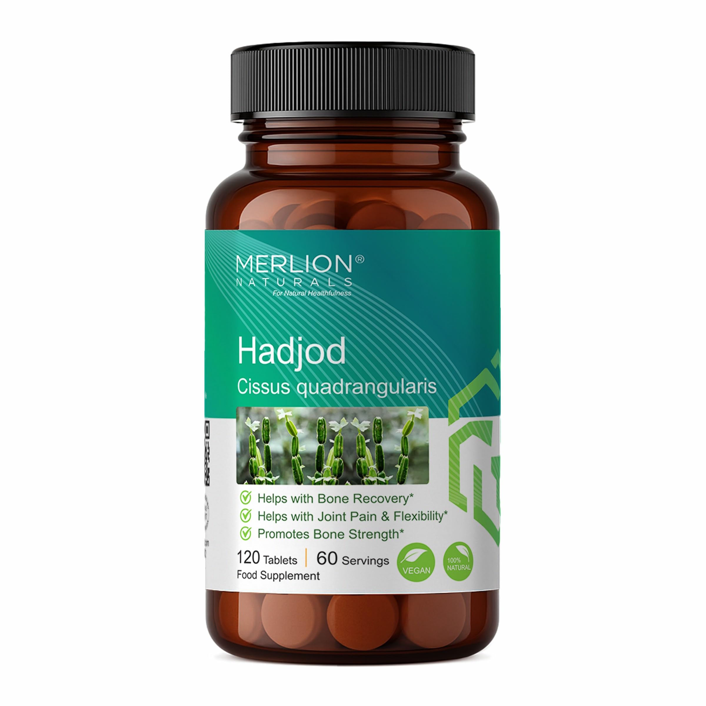 MERLION NATURALS Hadjod Tablets Cissus quadrangularis | 500mg (120 Tablets)