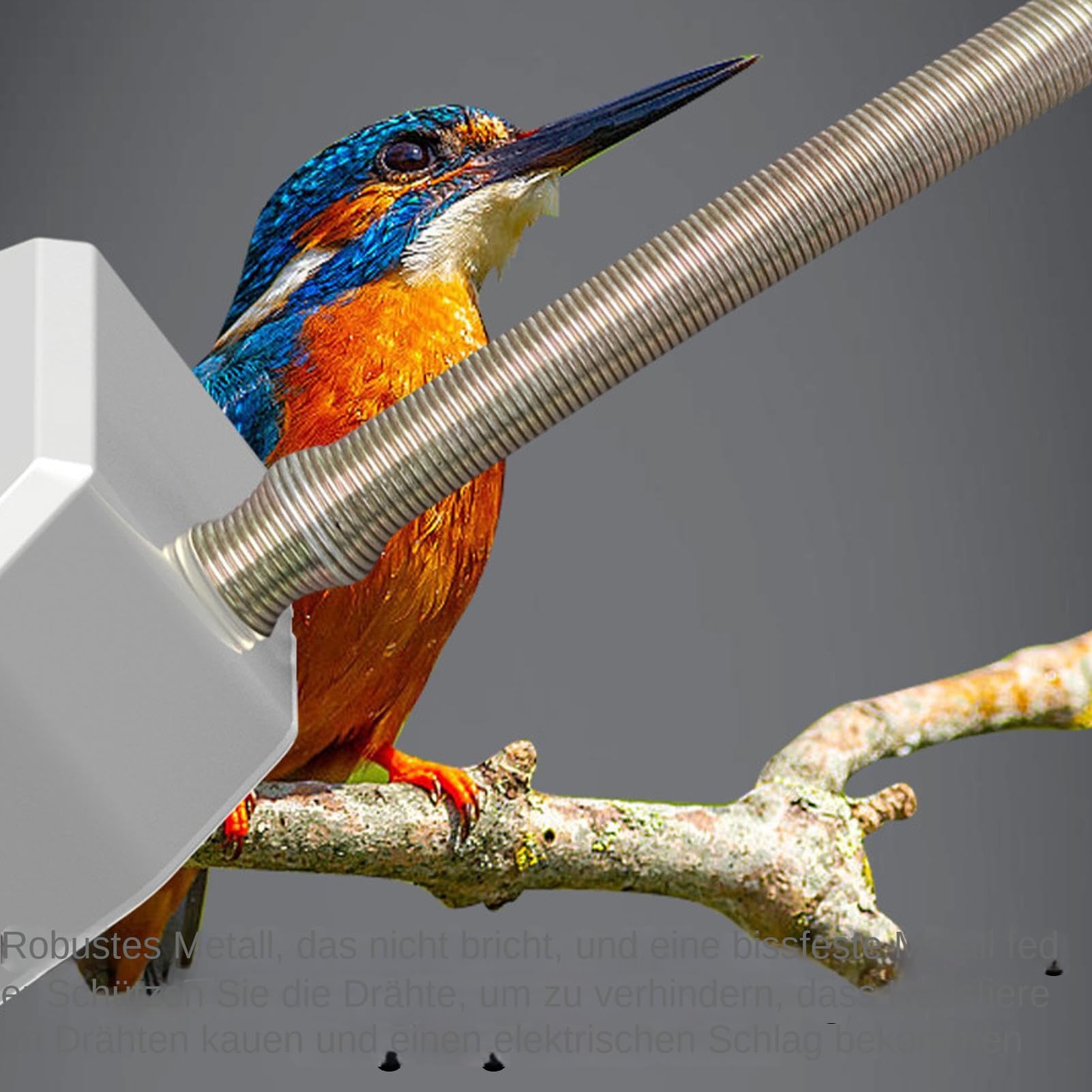 Calentador de pájaros, termostato inteligente con calefacción rápida y cálida - Calefacción de jaula para pequeñas mascotas y periquitos, para conejos, hámsteres, loros grises