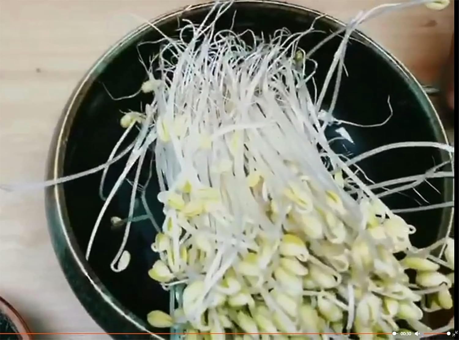 Bean Sprouts Machine, Household Automatic Small Bean Sprouts Cultivation Bucket Large Capacity Grain Seed Germination Kit-1/