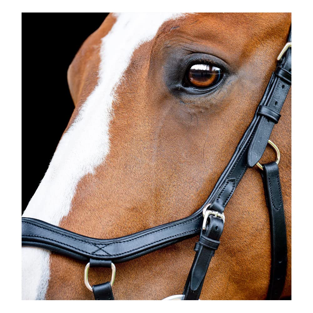 Horseware Ireland Micklem CompBridle w/Reins, Color: Black, Size: Large Cob (SBMOM2-K000-LC)