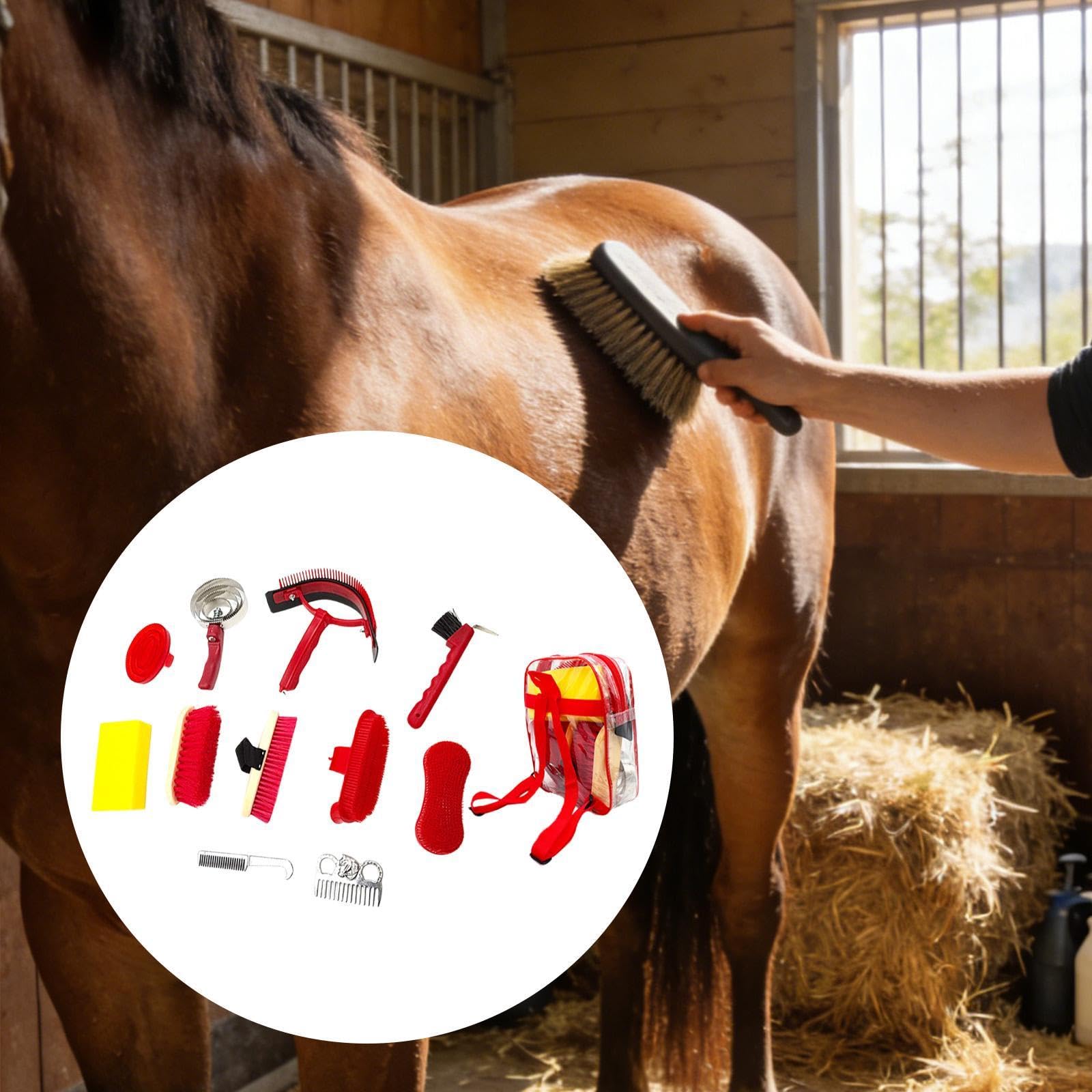 Kit de Aseo para Caballos de 11 Piezas, Regalo para Amantes de Los Caballos, Accesorios para de, Juego de Cepillos para Caballos
