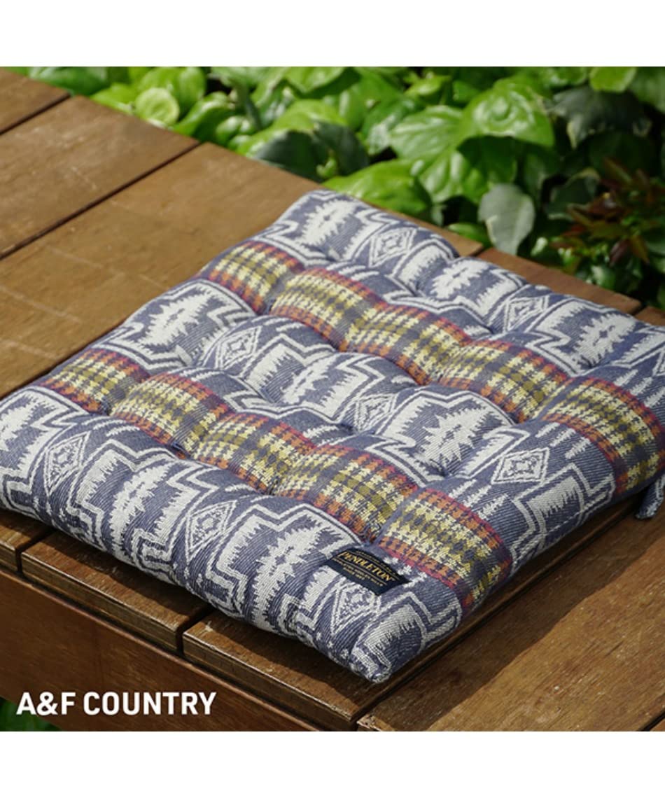 ペンドルトンチェアクッション　新品4個セット Amazon.co.jp: PENDLETON(ペンドルトン) Chair Pat GD Los Lunas