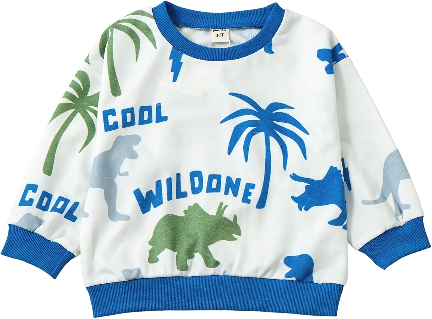 Toddler Baby Dinosaur Long Sleeve Sweatshirt Top Jogger Pants Set Cute Fall Winter Clothes Set - Image 4