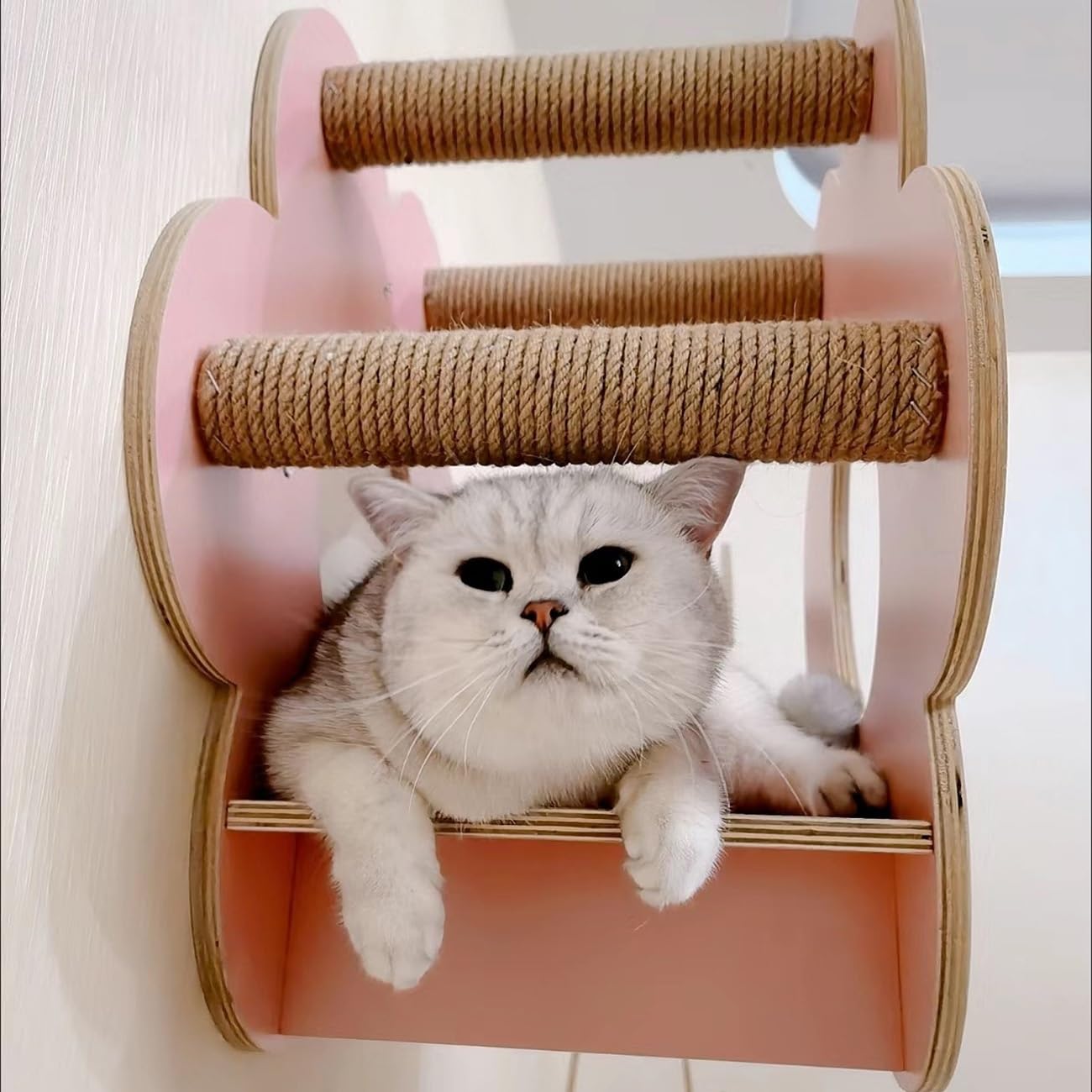 Scaffale da arrampicata per gatti, gradini in legno da parete per gatti, piattaforma trespolo per giocare ed esercitare il gatto